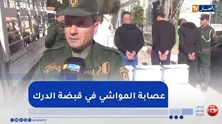 ميلة : هكذا تم توقيف عصابة تستهدف سرقة المواشي بواد سقان