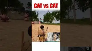 POKEMON FIGHT CAT VS CAT #catfight #catvscat #pokemonbattle #pokemonfight #palworldindia