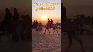 sam sand dunes desert jaisalmer #shortsvideo #jaisalmerdesert