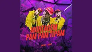 MONTAGEM PAM PAM TIPAM