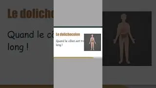 On m'a diagnostiqu&eacute; un dolichocolon lors d'une coloscopie. #dolichocolon #colon #coloscopie #estomac