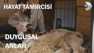 Hayat Tamircisinin Engelli Buzağı İle Duygusal Anları - Hayat Tamircisi 10.Bölüm
