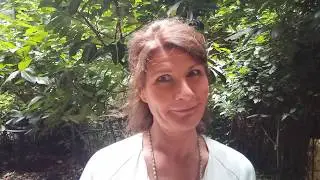 Democracy for Future: Claudine Nierth l&auml;dt zum #DemocracyDay ein