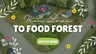 Экскурсия по саду Front Yard Food Forest Chaos &mdash; Индепенденс, штат Миссури