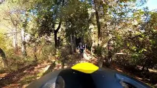 Trail 137/137bis - Cesane (PU, Italy)