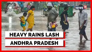 Flash Floods India | Colonies Cut Off As Night Rain Brings Flash Flood In Anantapur, Andhra Pradesh