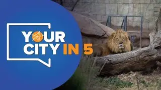 Your City in 5: Know Before You Go!