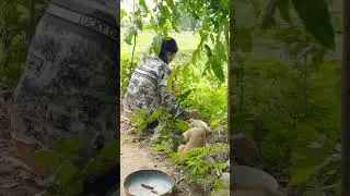 Rural in cambodia #nature #villagelife #shorts