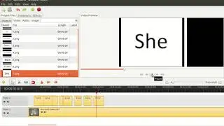 How to insert lyrics of songs or other captions into an audio and make it a video   using OpenShot V
