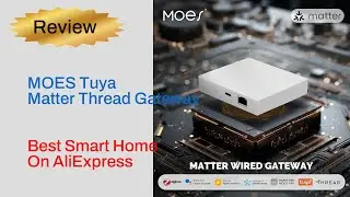 Review MOES Tuya Matter Thread Gateway - Best Smart Home Product On AliExpress