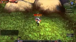 Female Pandaren Rogue Animations