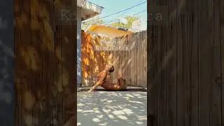 King Cobra 🐍 