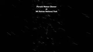 Perseid Meteor Shower #meteor #star #galaxy #timelapse #mountrainier