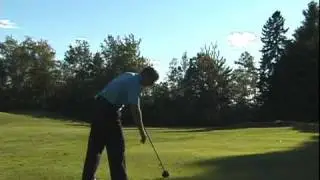 Reflex golf swing-driver shots from back