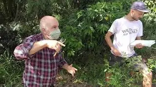 Pomar Correto Poda e Manejo, Produzir em Área sem Cultivo, Retorno com Sergio Semerdjian ao SAL