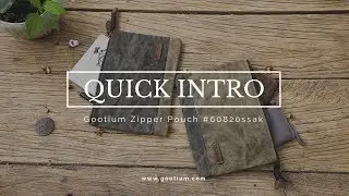 Quick Intro// Is this the most storage pouch? Gootium zipper bag #60820ssak