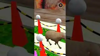 Sheep Colour Full Video 😜
