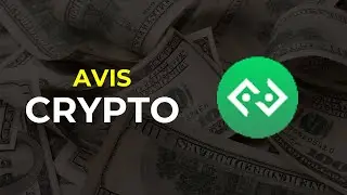 Bitkub Coin Coin : AVIS & ANALYSE (Token, Crypto, Pr&eacute;diction Prix)