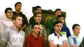 Seminário de Nª Sª da Conceição - Braga