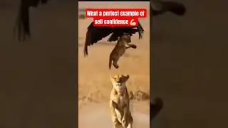 What a perfect example of self confidence💪🏻 #confidence  #power
