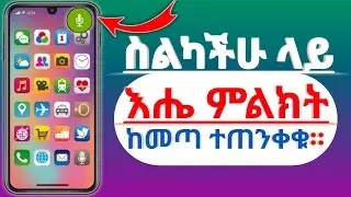 ስልካችሁ ላይ የማካሜራ እና የማይክ ምልክት እየመጣ ከተቸገራችሁ ቀላል መፍትሔ ተገኘ።