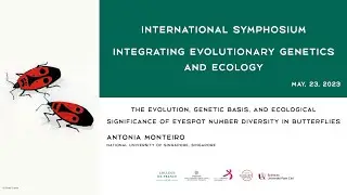 [Conf&eacute;rence] Antonia Monteiro - Eyespot number diversity in butterflies