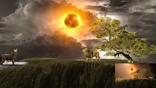 Fox Manipulation Photoshop#tutorial #video