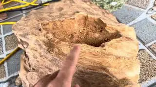 Cách Nhận Biết Gỗ Ngọc Am Của Hà Giang Chuẩn Nhất