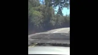 Napa Valley petite route sinueuse