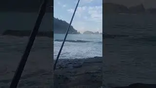 #tripmancing #mancingasik #mancingpinggiran  #mancingviral