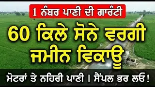 1 ਨੰਬਰ ਪਾਣੀ ਦੀ ਗਾਰੰਟੀ: 60 ਕਿਲੇ ਸੋਨੇ ਵਰਗੀ ਜਮੀਨ ਵਿਕਾਊ | ਮੋਟਰਾਂ ਤੇ ਨਹਿਰੀ ਪਾਣੀ | ਸੈਂਪਲ ਭਰ ਲਓ!