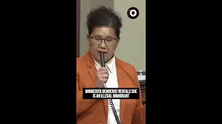 Minnesota Democrat admits she's an illegal alien
