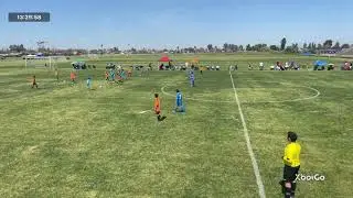 Kingsburg KC  VS  Albion SC (3.23.25)
