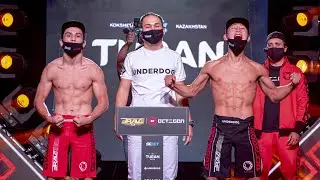 FACE TO FACE OCTAGON 22 x BRAVE CF 53