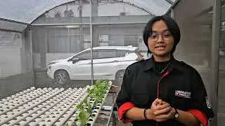 ICSIT'25 - Greener Itenas - Bok Choy Leaf Disease Detection and Classification System