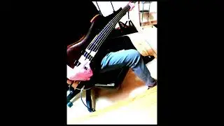 Michael Jackson   P.Y.T -PrettyYoungThing- BassPlayalong