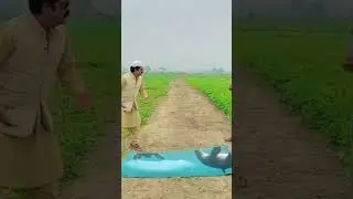 Magic Funny #shortvideo #asmr #viral #satisfying #shariz17vlog