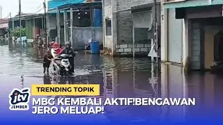 Bengawan Jero Meluap! Ratusan Hektar Tambak & Puluhan Rumah Terendam di Lamongan