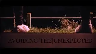 Avoiding The Unexpected {THE SHORT FILM}