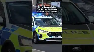 #cityoflondon Police Dog Section Car responding in #lambeth #police #uk #london #policedogs #fyp