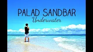 Palad Sandbar : 360 Underwater (Watch in HD)