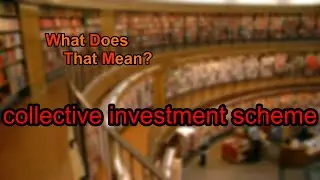 What does collective investment scheme mean?