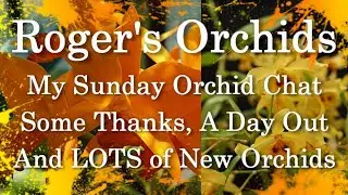 My Sunday Orchid Chat (19th March 2023)
