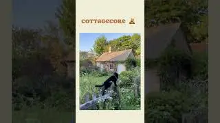 Find your style part 2! #cottagecore #aesthetic #shorts #fame