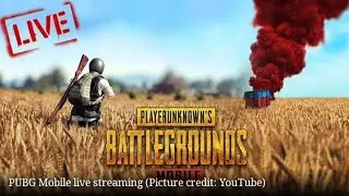 LIVE DE PUBMG