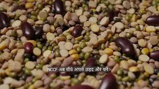 NCCF PROCUREMENT 2026-27 Secure the best price for your hard work. Chana: ₹5875/-, Urad: ₹7800/-