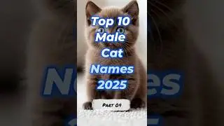 Top 10 Male Cat Names 2025 🐾😺 | Part 4 #Shorts