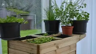 Mini Horta na Varanda