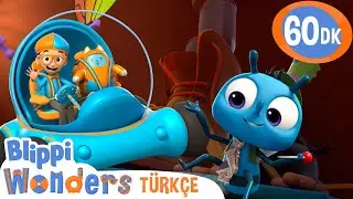 Sinekler Çöpleri Neden Sever? Blippi Öğreniyor! 🤔🪰| Blippi Türkçe - Çocuklar için Eğitici Videolar