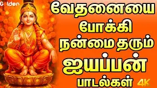 கார்த்திகை மாதம் கடைசி நாளில் கேட்க வேண்டிய ஐயப்பன் பாடல்கள் | Powerful Ayyappan Special Songs